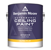 Waterborne Ceiling Paint 0508